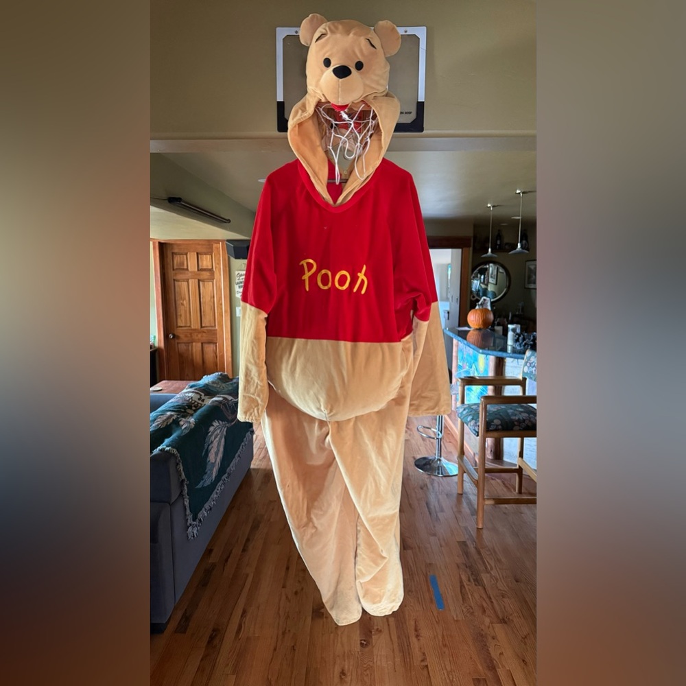 Disney Winnie The Poo Costume